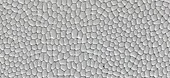 Caviar Print Patent
